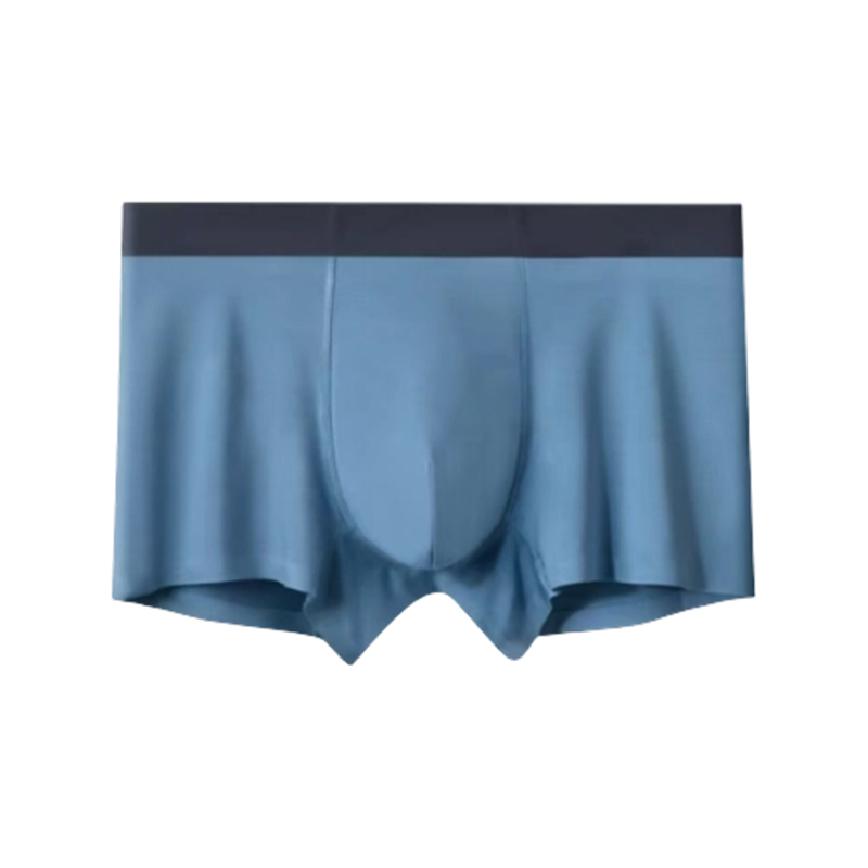 Sous-vêtements pour hommes